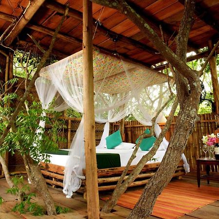 The Saraii Tree Lodge 蒂瑟默哈拉默 外观 照片