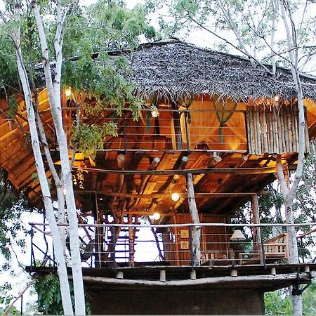 The Saraii Tree Lodge 蒂瑟默哈拉默 外观 照片