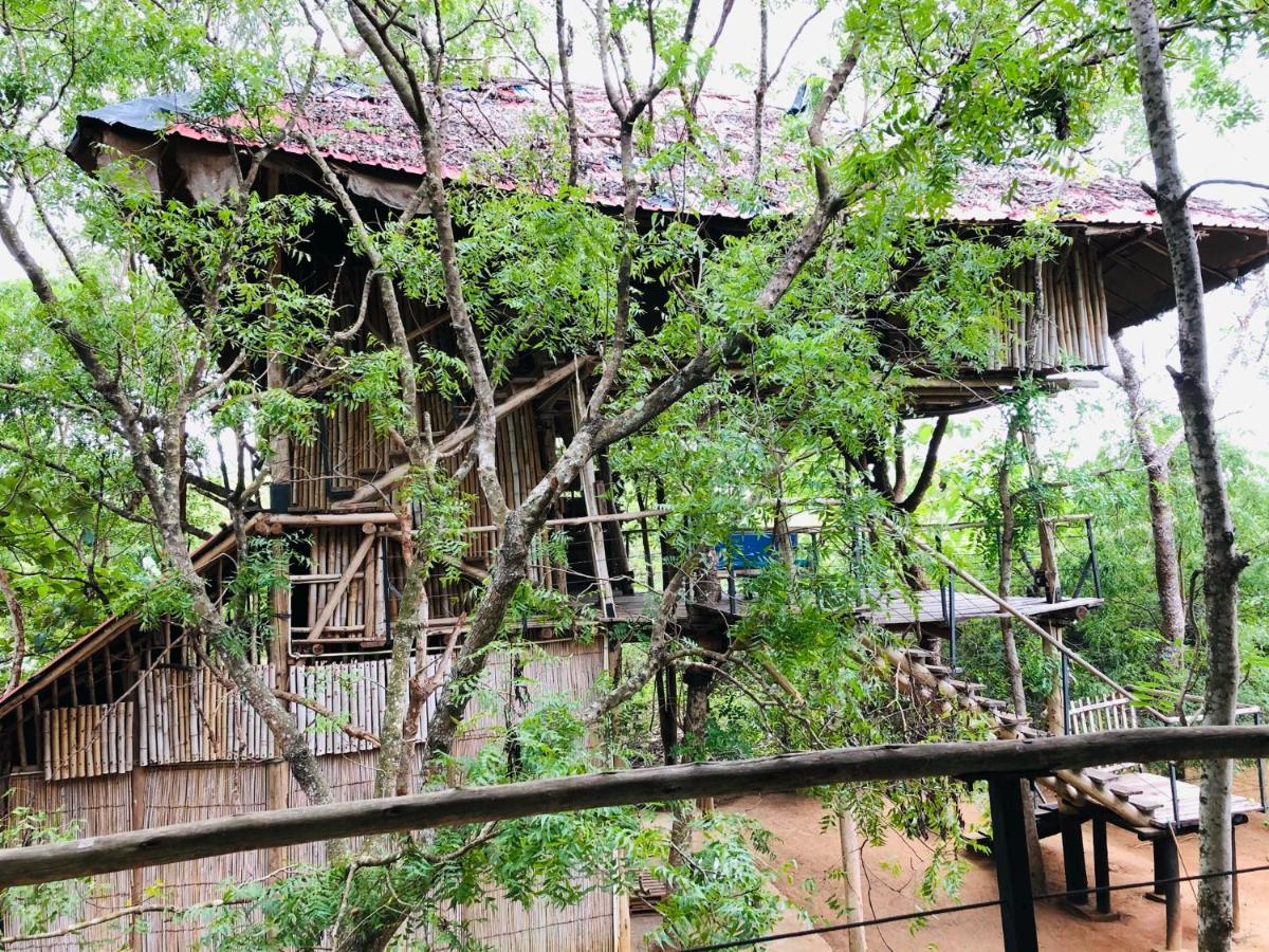The Saraii Tree Lodge 蒂瑟默哈拉默 外观 照片