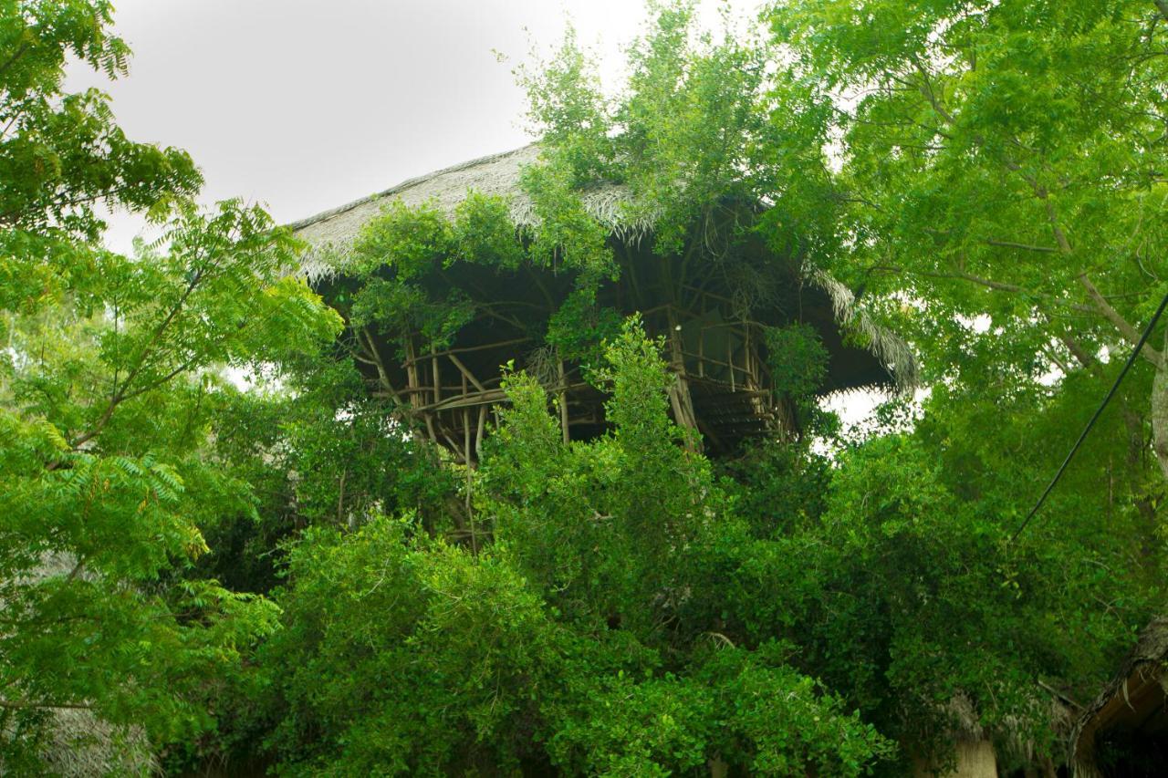 The Saraii Tree Lodge 蒂瑟默哈拉默 外观 照片