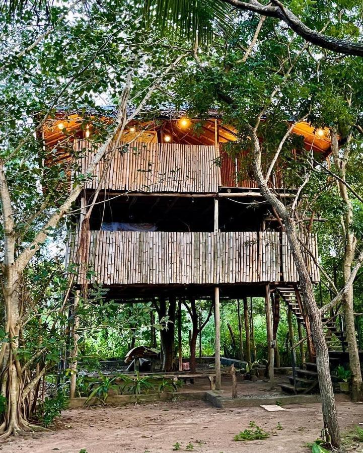 The Saraii Tree Lodge 蒂瑟默哈拉默 外观 照片