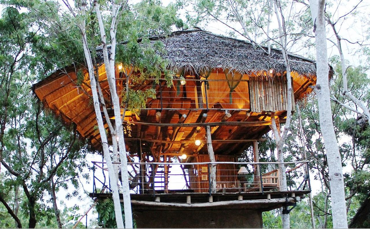 The Saraii Tree Lodge 蒂瑟默哈拉默 外观 照片