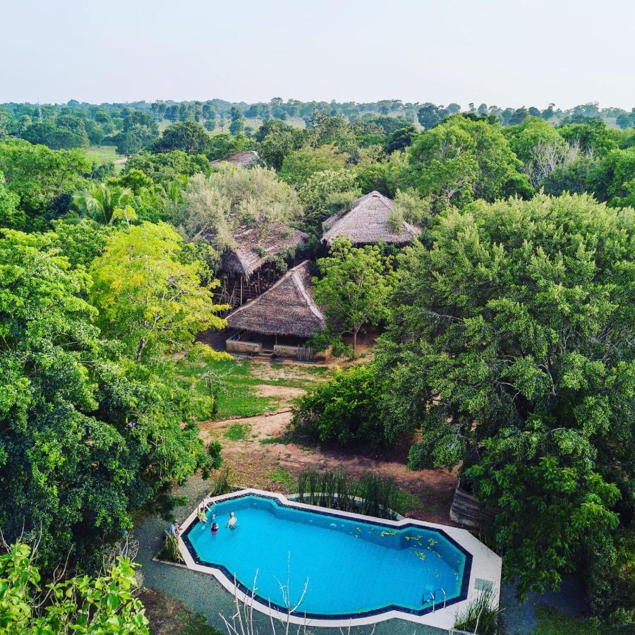 The Saraii Tree Lodge 蒂瑟默哈拉默 外观 照片